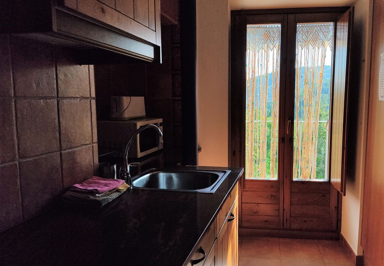 Casa rural en Camprodón - Can Soler completa