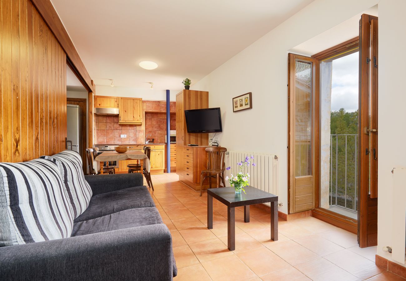 Cottage in Camprodón - Can Soler completa