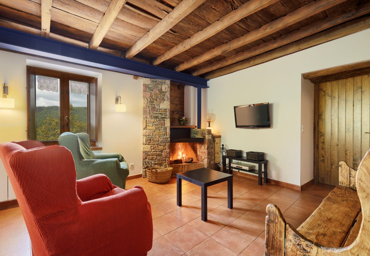 Cottage in Camprodón - Can Soler Casa Pairal ampliada
