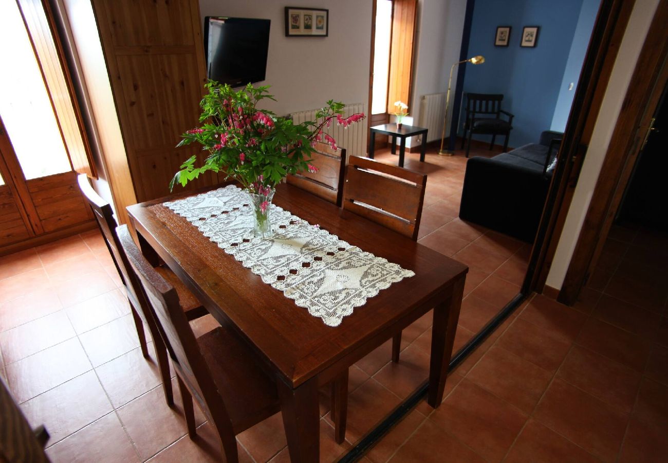 Gîte Rural à Camprodón - Can soler - Ca la Padrina