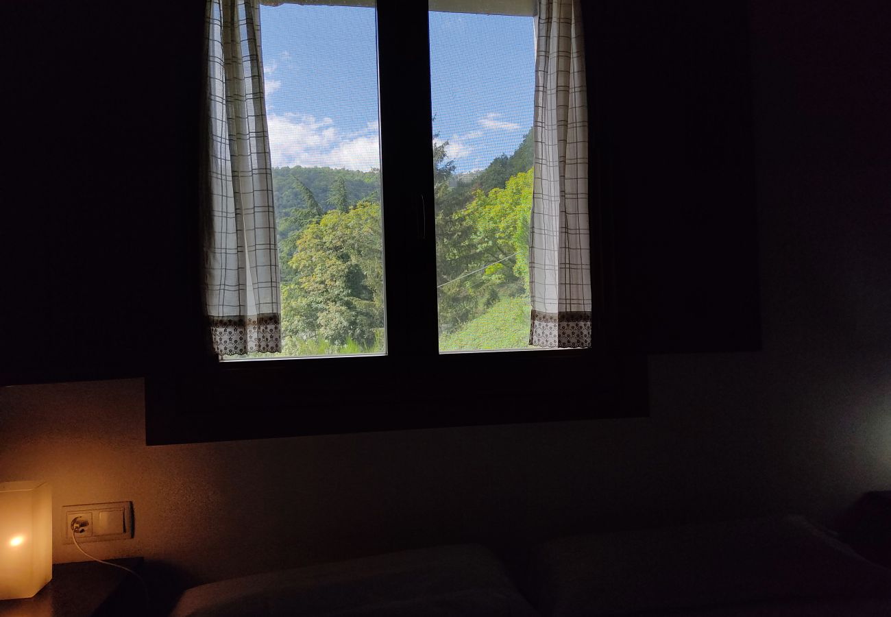 Gîte Rural à Camprodón - Can Soler completa